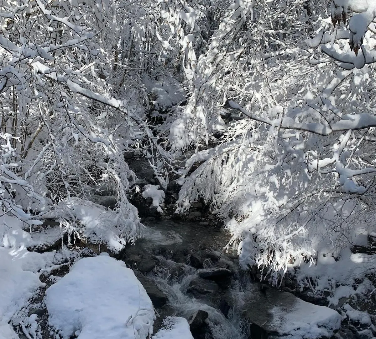 Chalet Le Char La Giettaz 0*,
